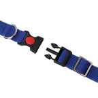 Collars for dog - Blue