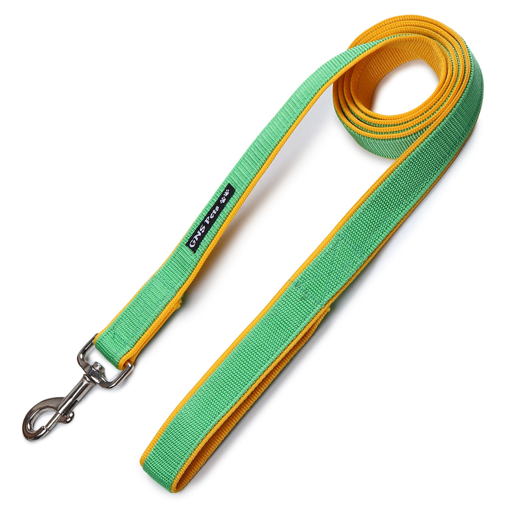 6 Feet Dog Leash - Green