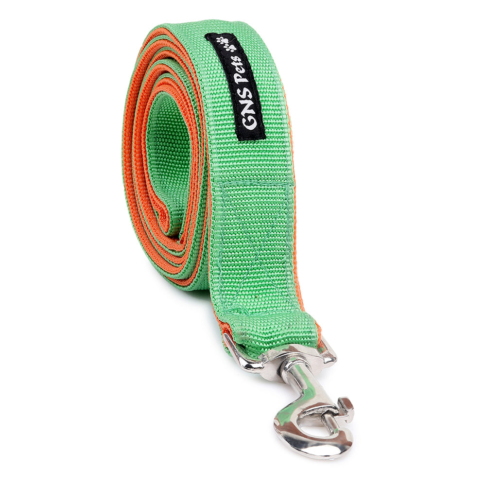 Double webbing Leash- 6 FT Green
