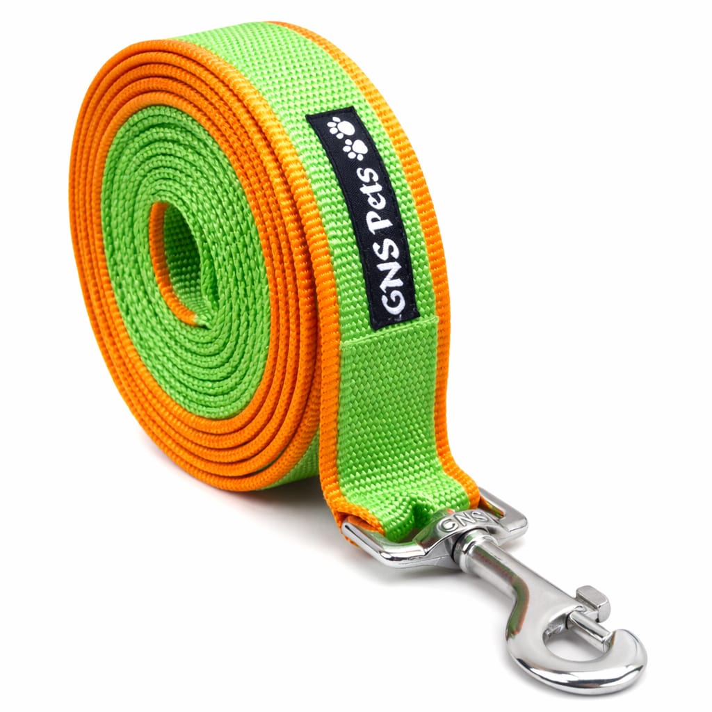 Double webbing Leash- 6 FT Green