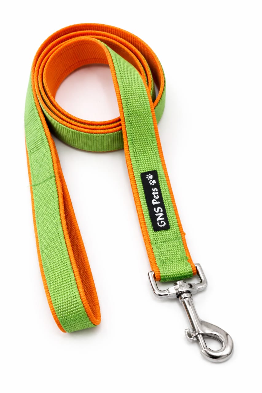 Double webbing Leash- 6 FT Green