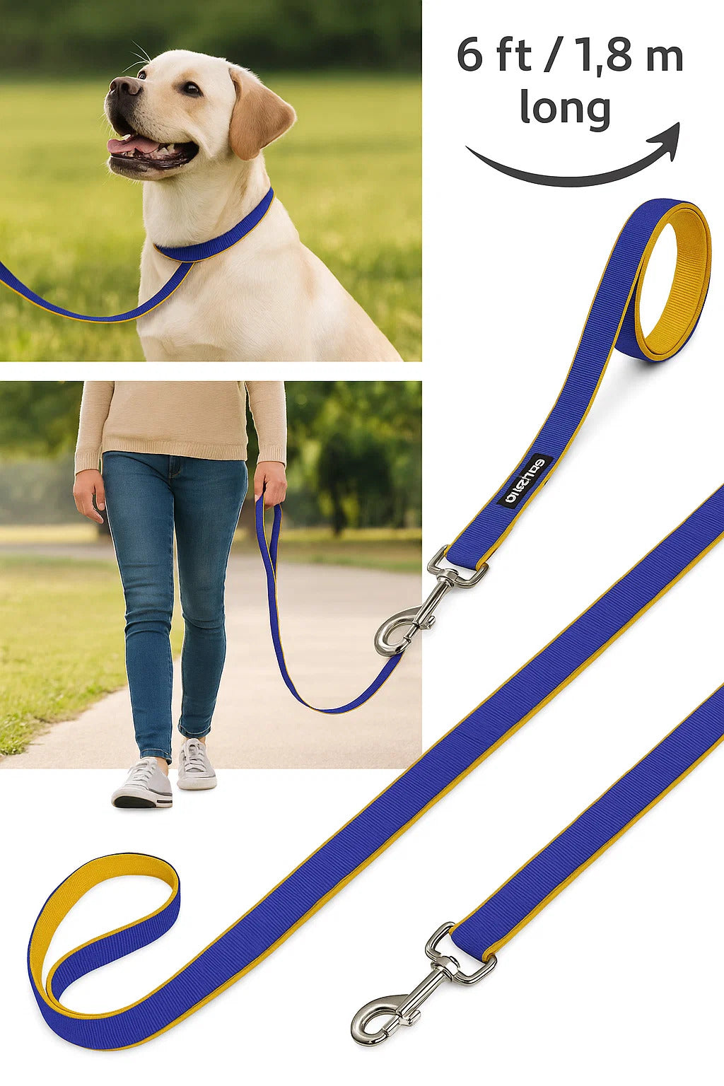 6 Feet Dog Leash - Blue