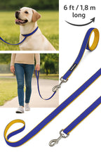 6 Feet Dog Leash - Blue