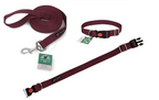 Dog Leash & Collar Set - 15FT- Maroon