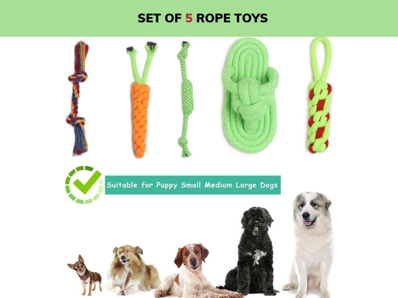 Set of 5 Durable Dog Rope Toys – Chew, Tug, Fetch & Teething Play for Puppies, Small & Medium Dogs | Safe Cotton Pet Toys