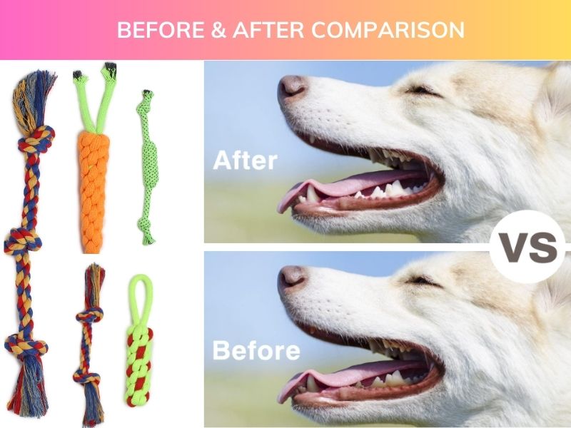 Set of 5 Durable Dog Rope Toys – Chew, Tug, Fetch & Teething Play for Puppies, Small & Medium Dogs | Safe Cotton Pet Toys
