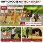 6 Feet Dog Leash - Green