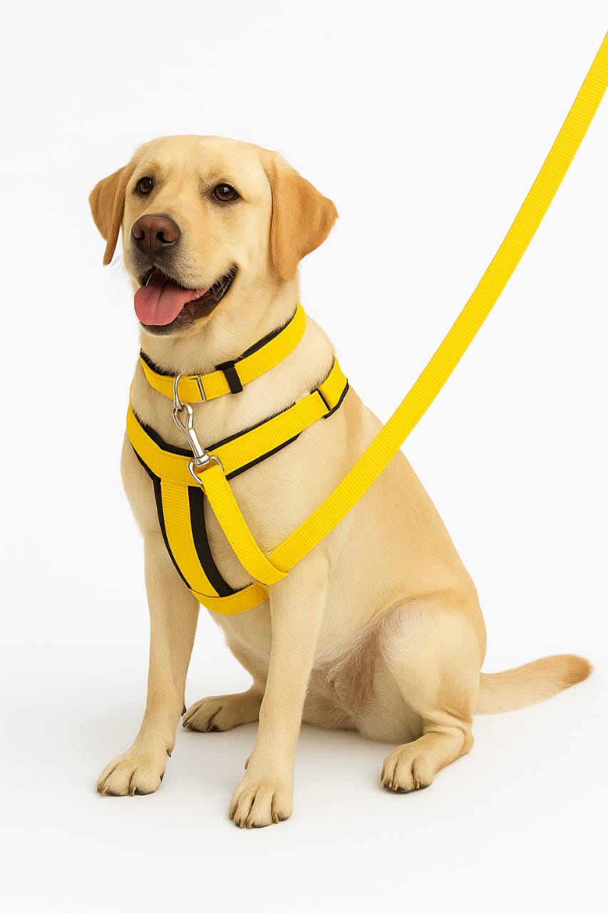 Soft Padded Harness,Collar and Leash