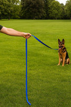 Training Leash 15 -FT - Blue