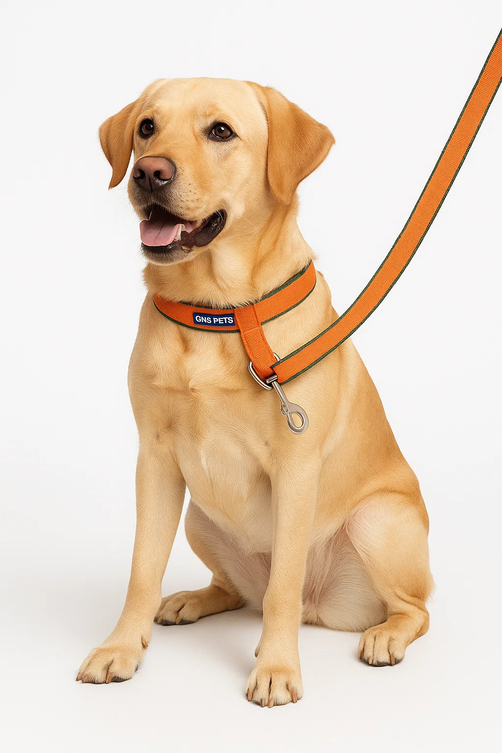 6 Feet Dog Leash - Orange