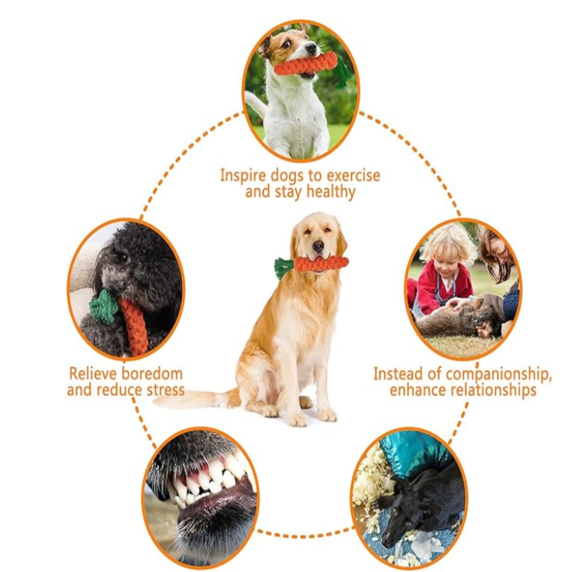 Carrot Rope Toy for Dogs – Durable Cotton Chew & Tug Toy for Dental Health and Play