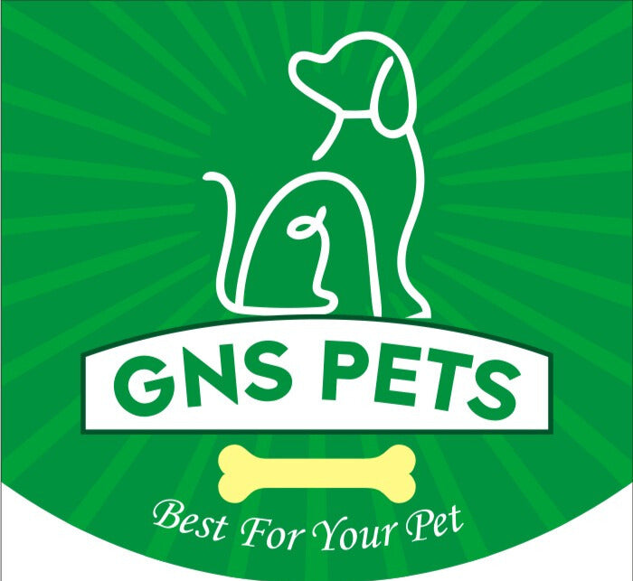 Dog Leash- 5.5 Feet- Green