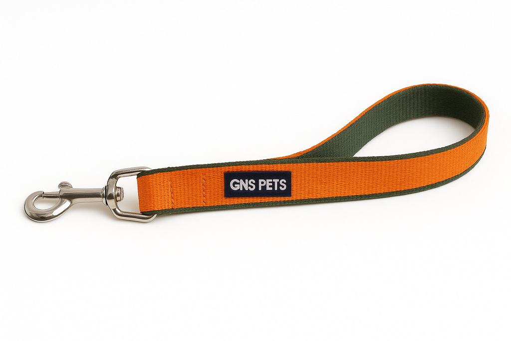 6 Feet Dog Leash - Orange