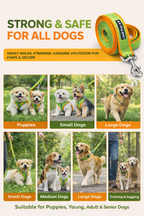 Double webbing Leash- 6 FT Green