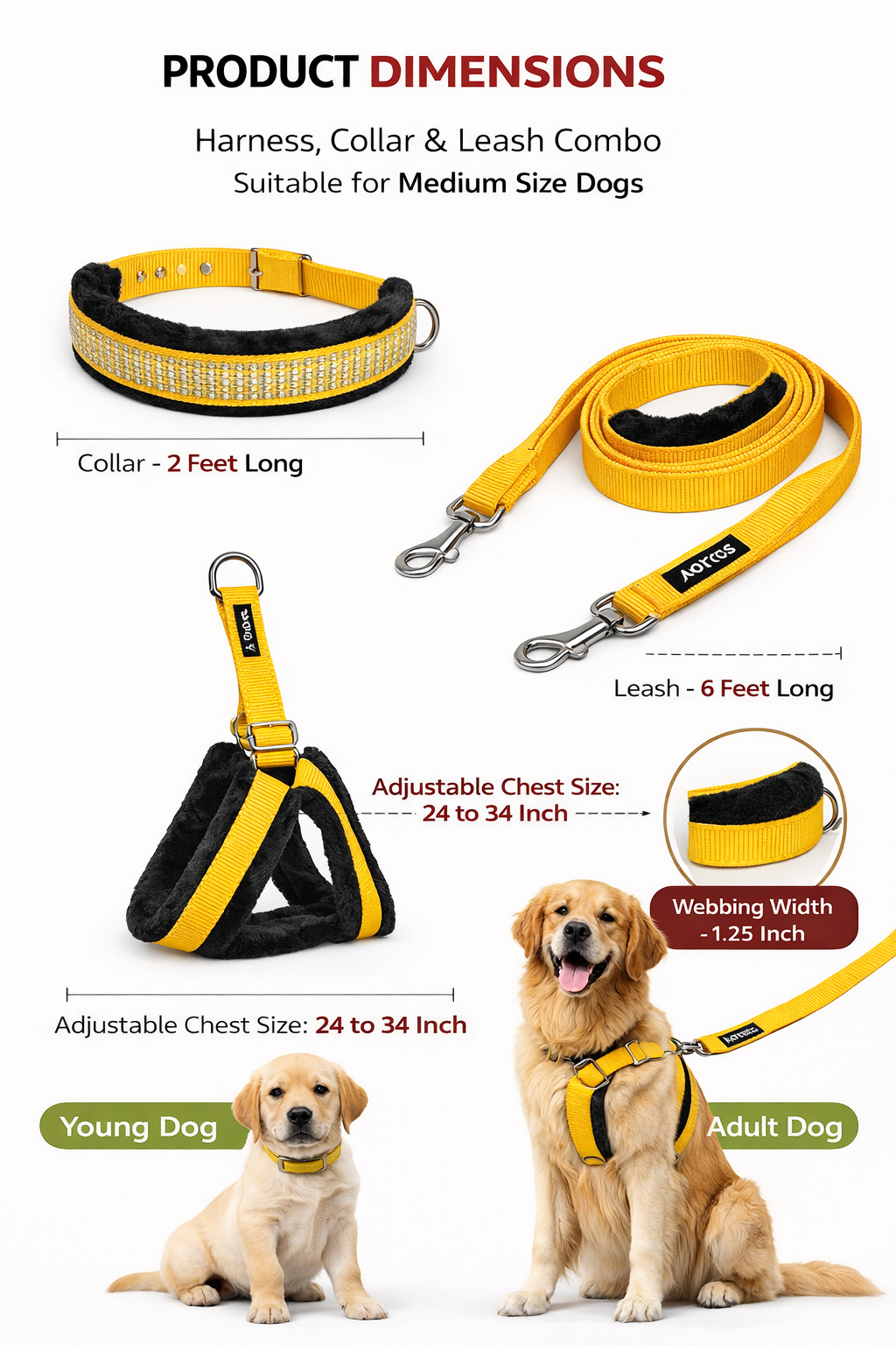 Soft Padded Harness,Collar and Leash