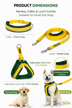 Soft Padded Harness,Collar and Leash