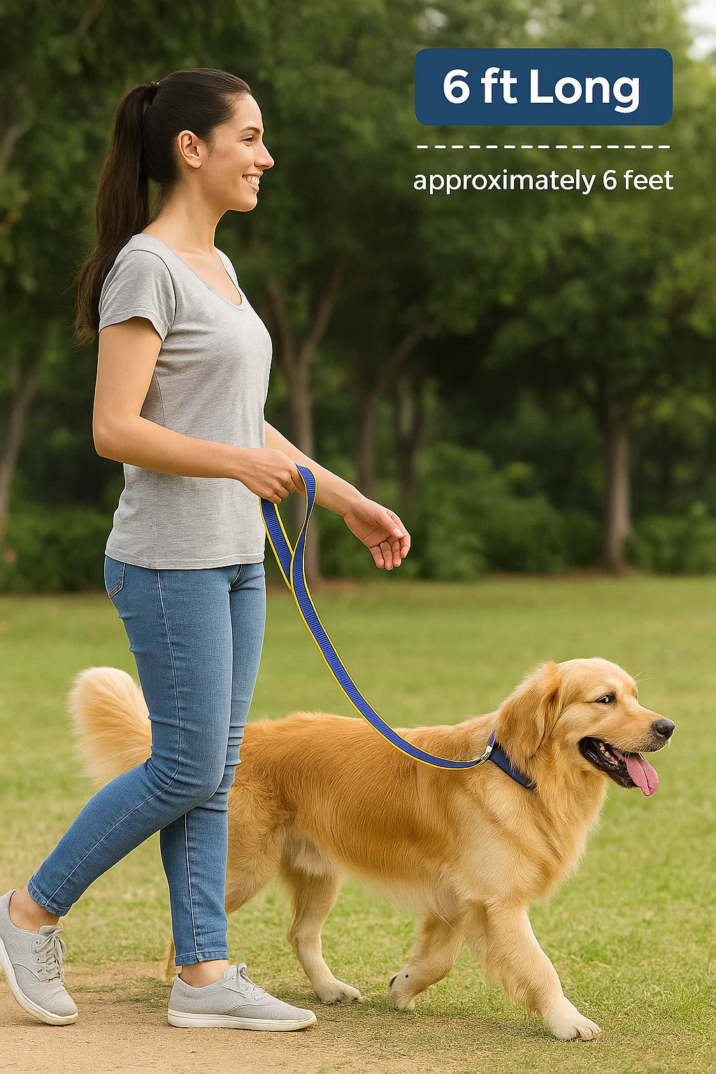 6 Feet Dog Leash - Blue