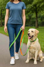 Double webbing Leash- 6 FT Green