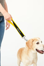 Short Leash - 1.5Ft-Yellow
