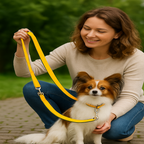 Double webbing Leash- 6 FT Yellow