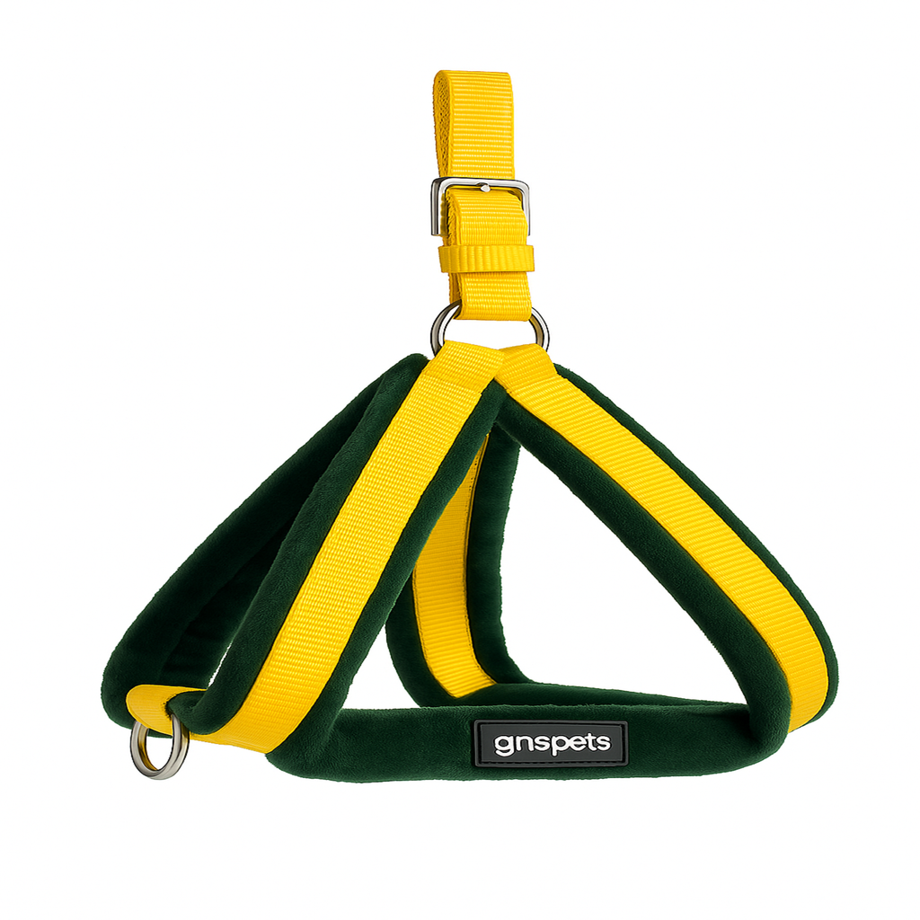 Soft Padded Harness,Collar and Leash