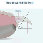 Pet Nail Cutter with Foliar