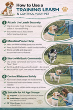 Training Leash 15 feet- Turquoise