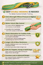 6 Feet Dog Leash - Green