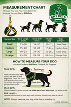 Soft Padded Harness,Collar and Leash