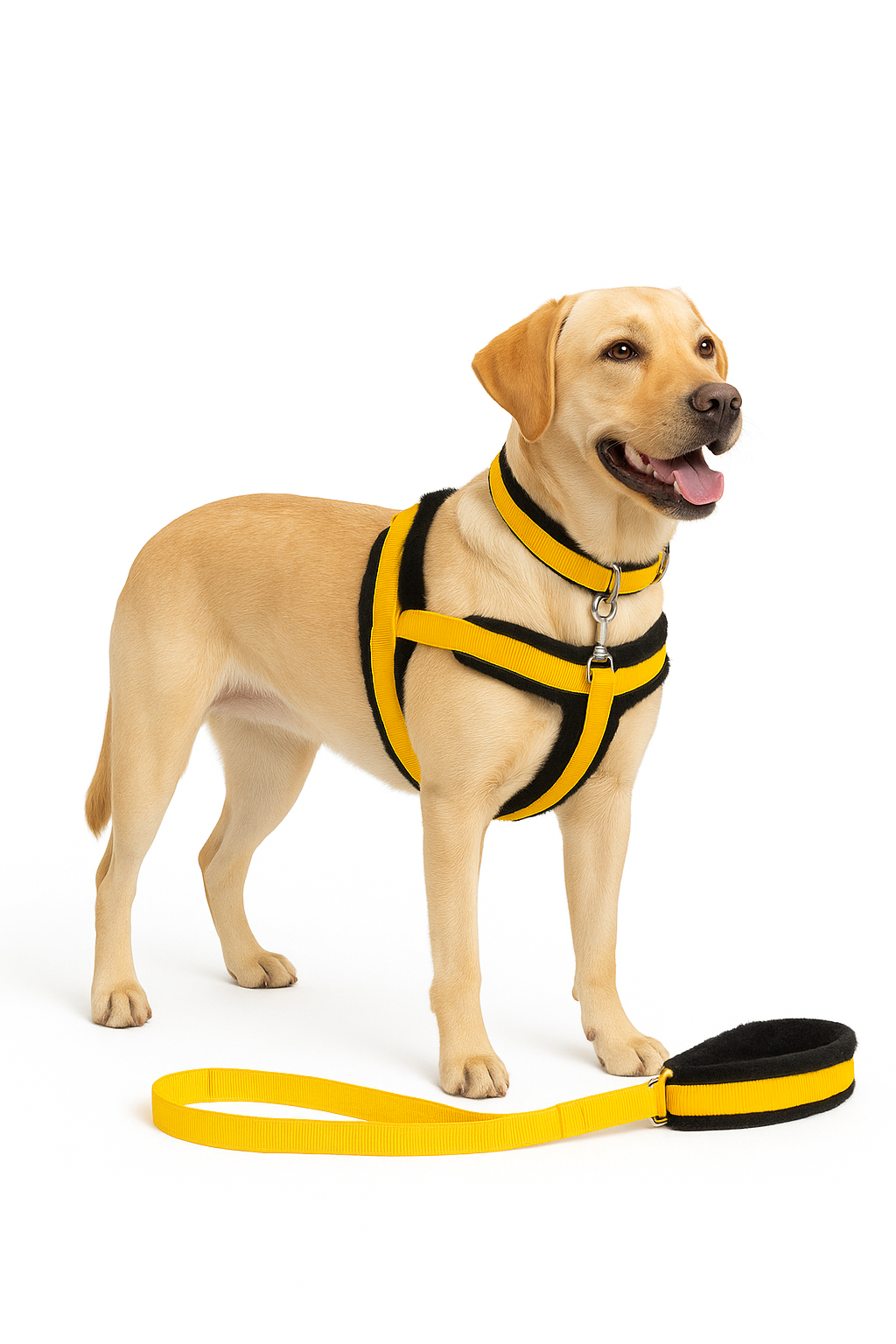 Soft Padded Harness,Collar and Leash
