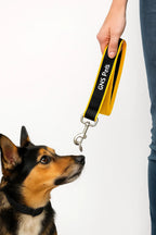 Short Leash - 1.5Ft-Yellow