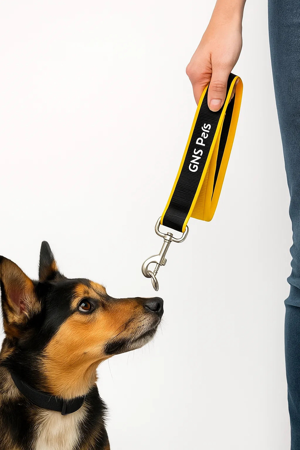 Short Leash - 1.5Ft-Yellow