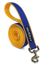 6 Feet Dog Leash - Blue