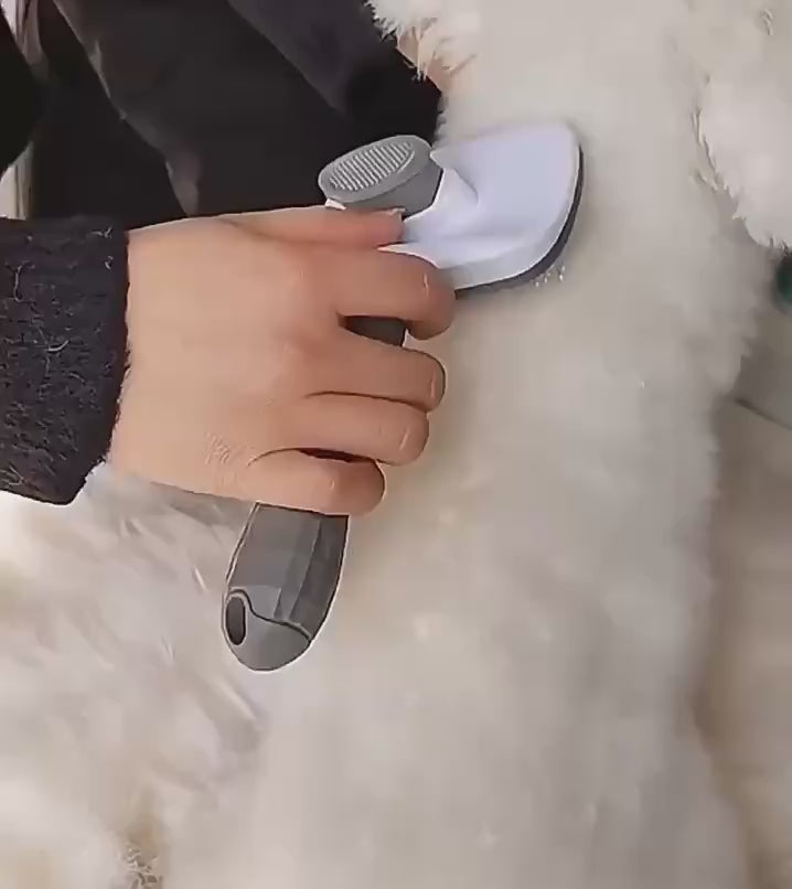 Pet Hair Remover Comb