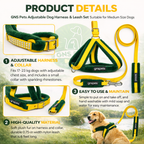 Soft Padded Harness,Collar and Leash