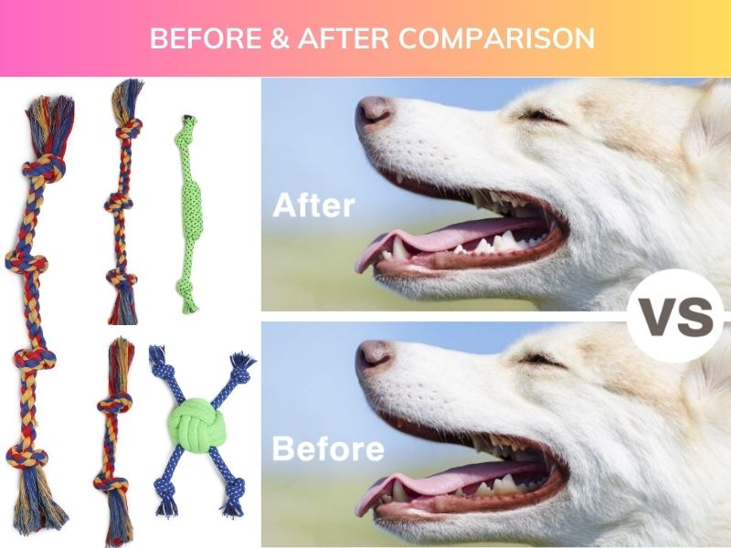 Set of 5 Dog Rope Toys – Includes 3 Knot Rope, 2 Knot Rope, 4 Knot Rope, Ball Rope & Chew Toy | Durable Cotton Chew & Tug Toys for Dogs
