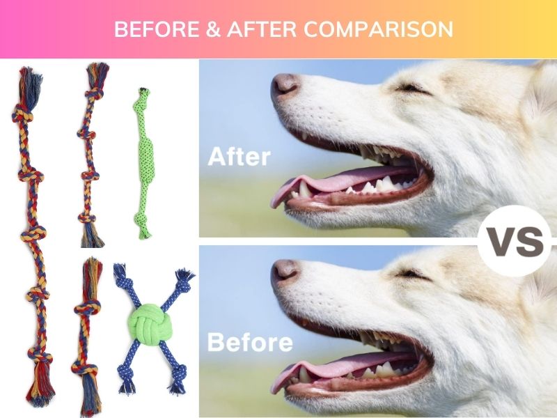 Rope Dog Toys Set of 5 With Ball