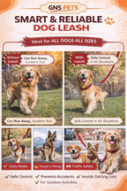 Dog Leash- 5.5 Feet- Mehroon