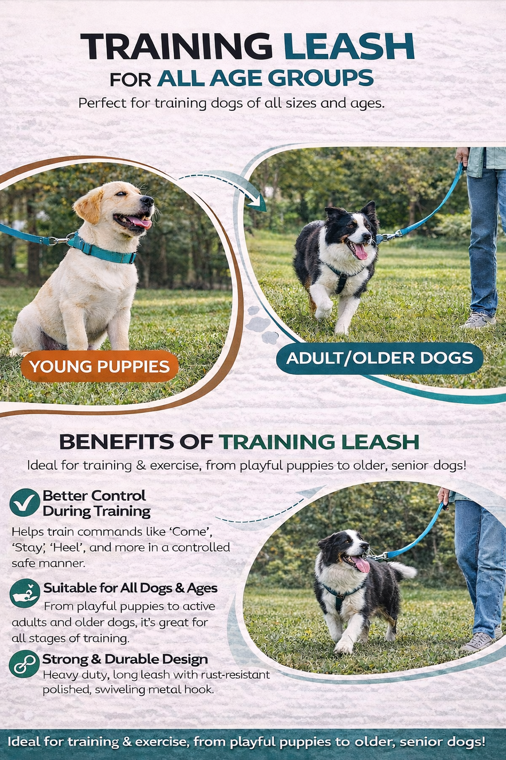 Training Leash 15 feet- Turquoise